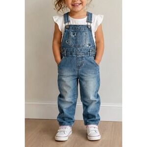 Baby GAP Butterfly Embroidered Overalls (3T) Straight Leg Overalls
